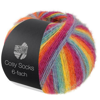 Lana Grossa MEILENWEIT 6-FACH 150g Cosy Socks Multi Stripes