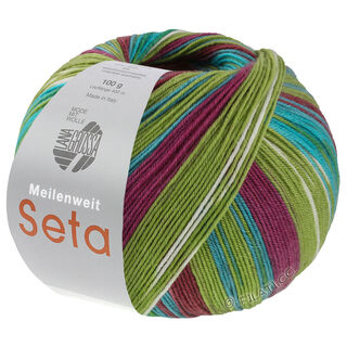 Lana Grossa MEILENWEIT 100g Seta Hokkaido