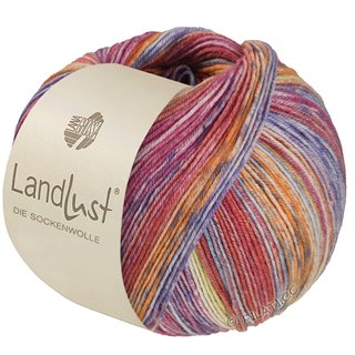 Lana Grossa LANDLUST DIE SOCKENWOLLE SEIDE